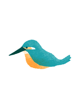 カワセミのイラスト