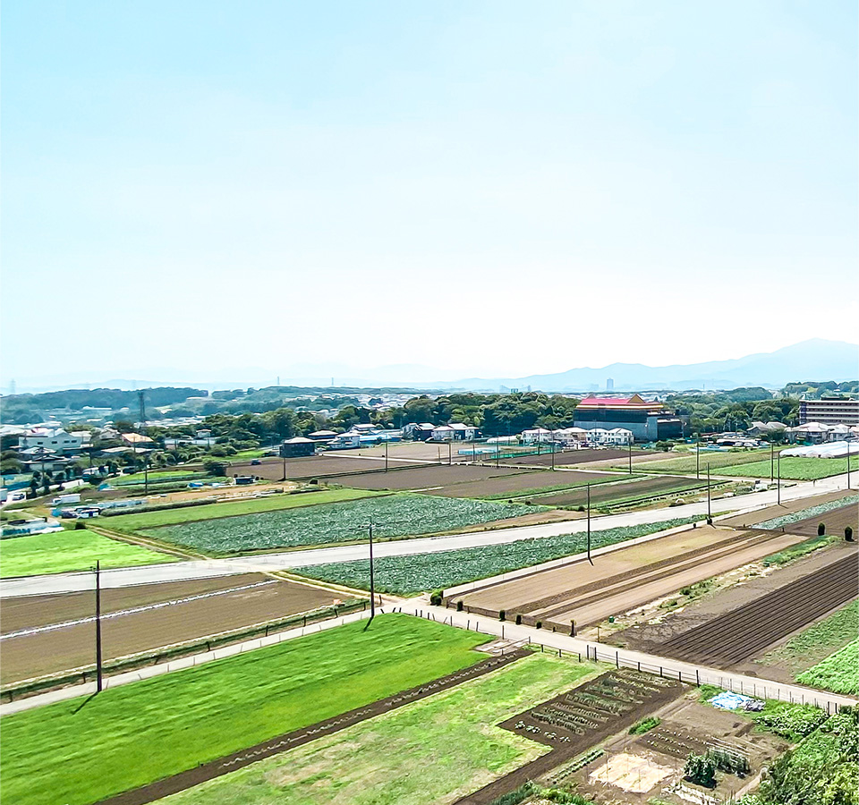 綾瀬市の田園風景