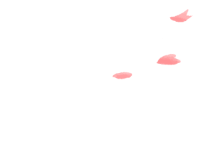 桜の花びらのイラスト