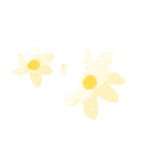 大和市の花野菊のイラスト
