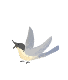 大和市の鳥おながのイラスト