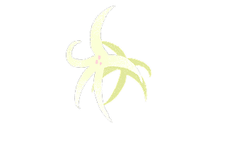 ユリの花のイラスト