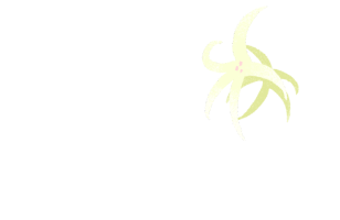 ユリのイラスト