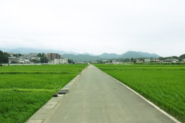 田舎の生活