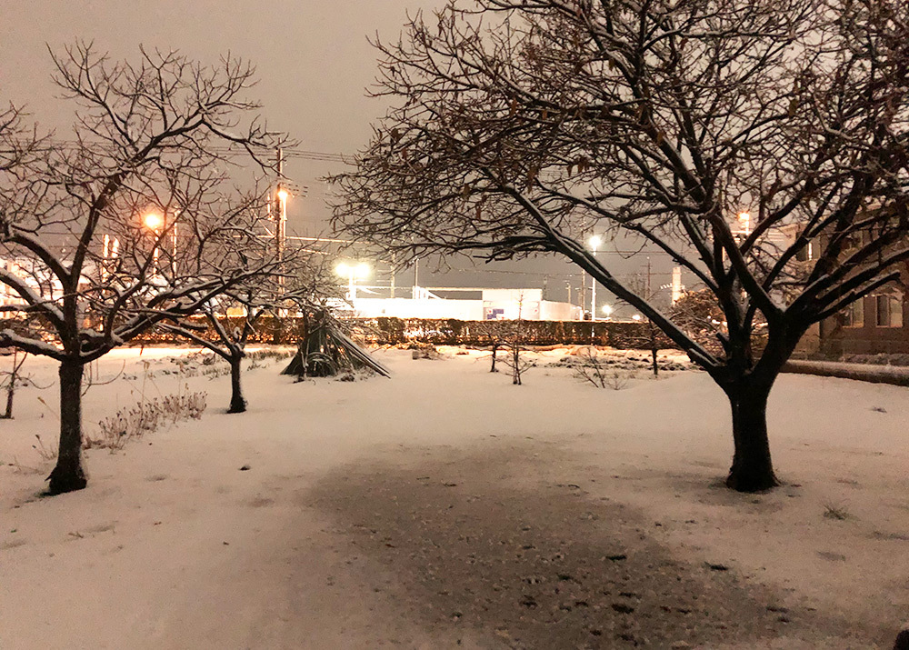 厚木の大雪