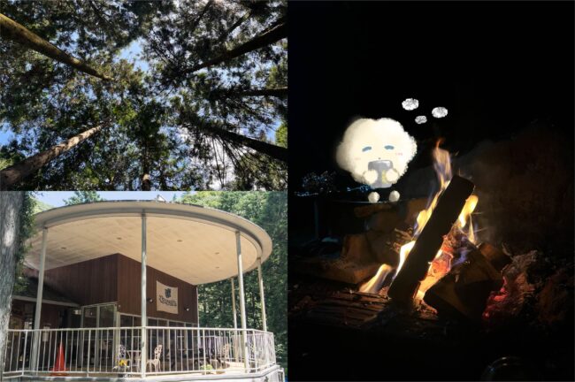 伊勢原「クアハウス山小屋」