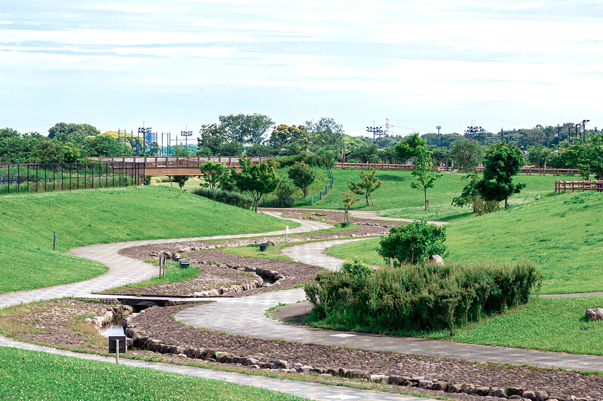 大和ゆとりの森公園
