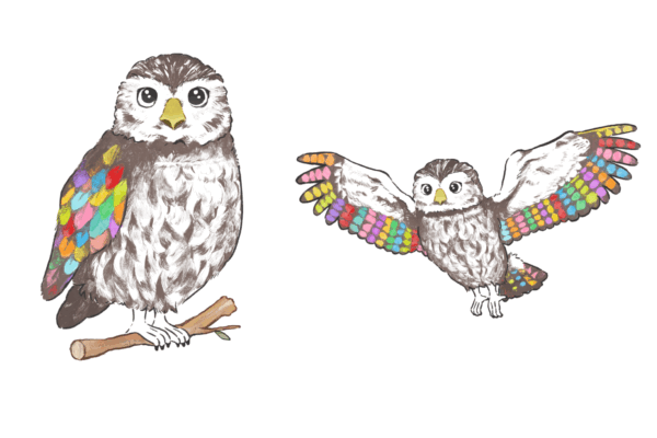 ふくろうイラスト　キャラクター制作事例