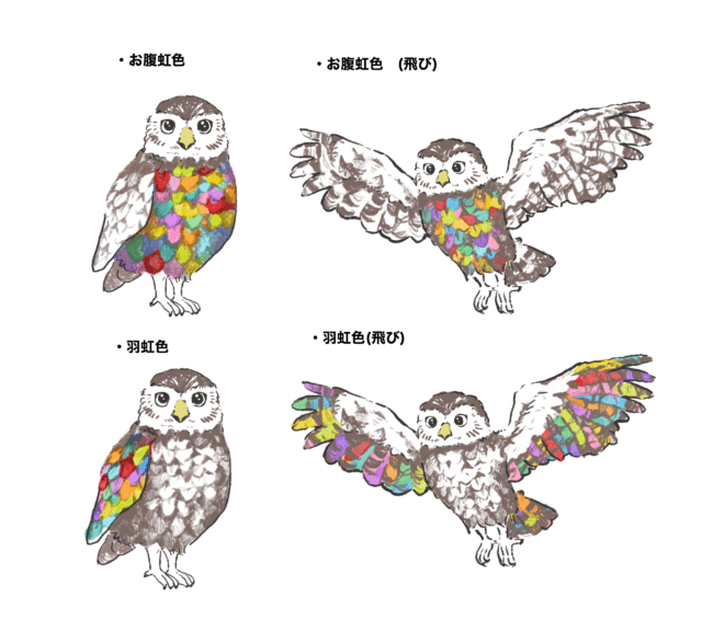 ふくろうイラスト 羽比較