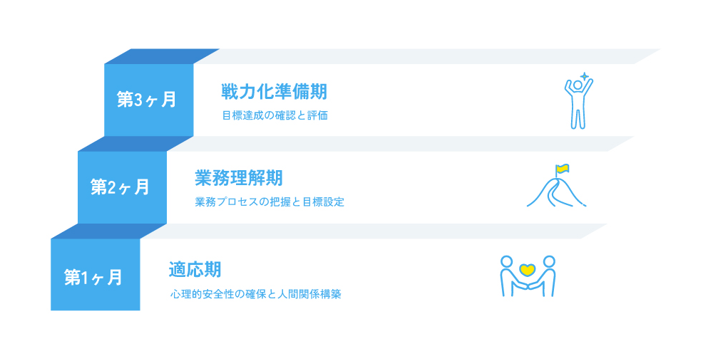 入社後3ヶ月の育成ステップを示す図