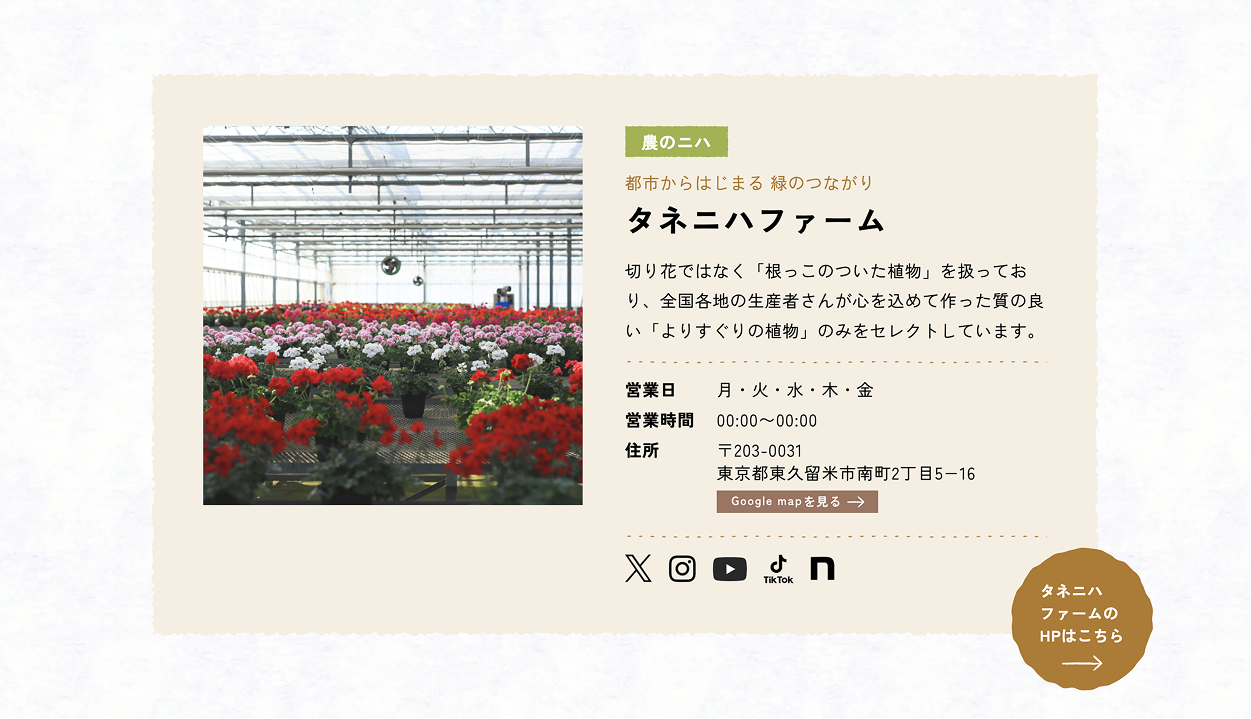 店舗紹介の枠のデザイン