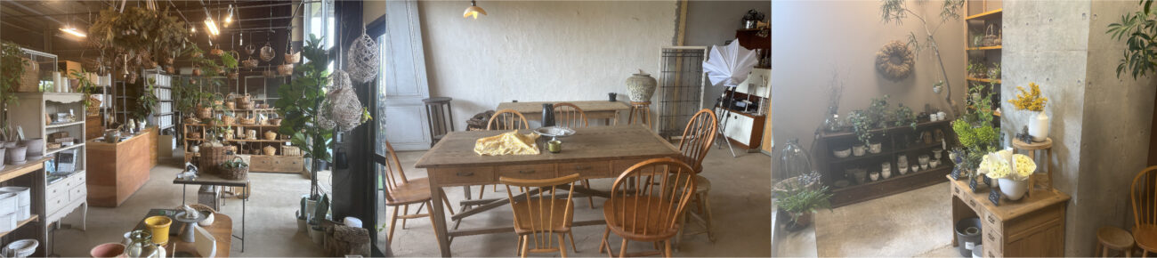 タネニハの様々な店舗内の写真