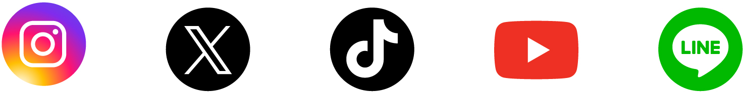 Instagram、X、TikTok、YouTube、LINEのSNSアイコン一覧